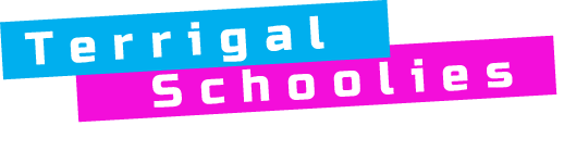 Australia's Leading Terrigal Schoolies
